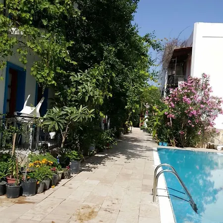 فندق Nursu بيتيس